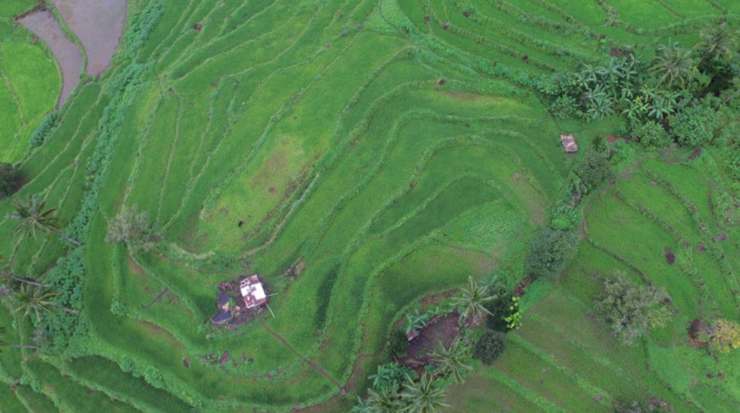 The Hidden Rice Terraces of Antique - ATBP